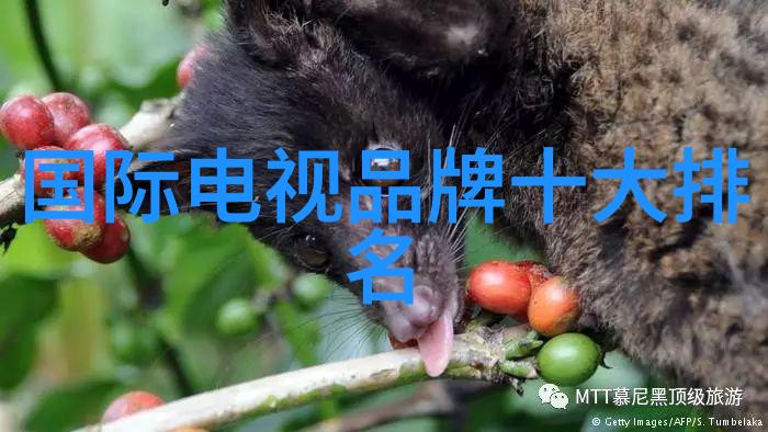 微波炉快速煮水秘籍
