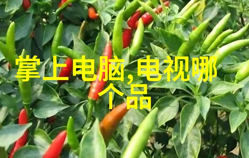 爱普生推出新一代智能助理机器人重塑办公环境的未来形态