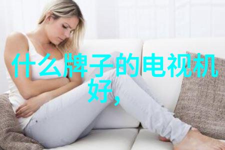 国际摄影协会讲座现场