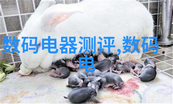 为何需要一个好用的专业级别轻型化设计水质量分析装置