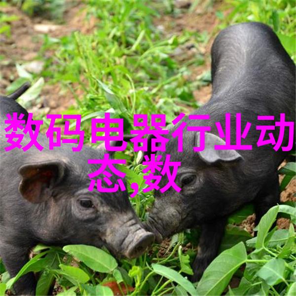 探秘微观世界PCR仪的奇迹