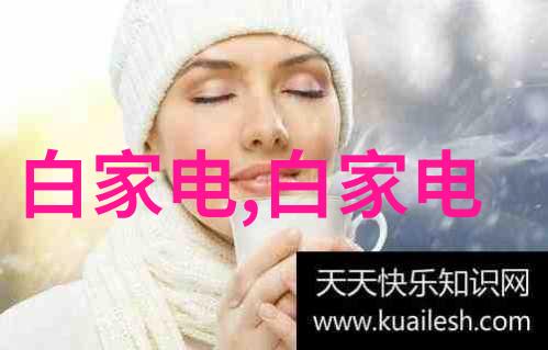 工业防爆吸尘器厂家安全清洁新篇章