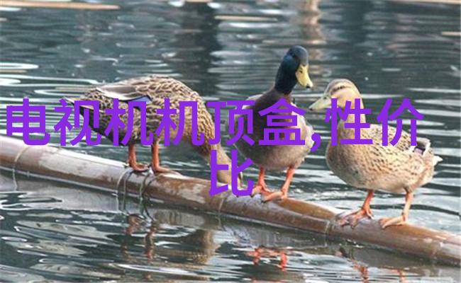 立式辊磨机原理与工作流程解析