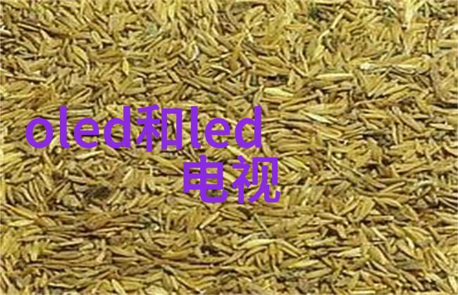 鲜果盛宴市场上的甜蜜交易