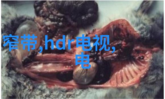 真空冷冻干燥设备高效食品脱水技术