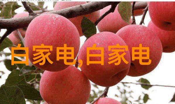 不锈钢容器罐耐用与环保的双重奏鸣