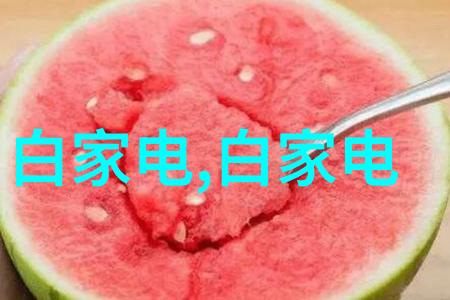 项目可行性评估指南开启成功之旅的钥匙