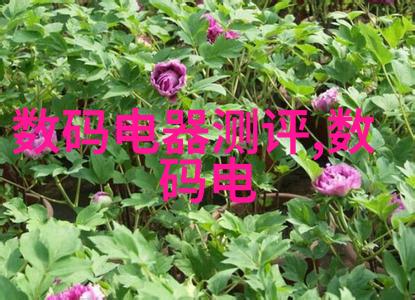 物体间的温暖交流热传导的奇妙世界