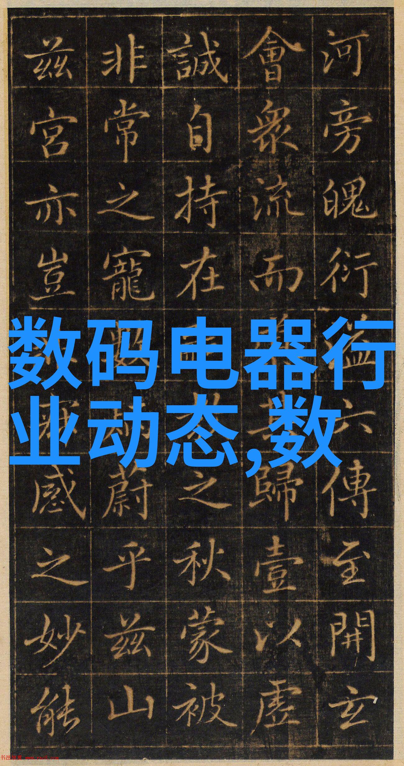 菲克老虎我和菲克老虎的激动人心之旅