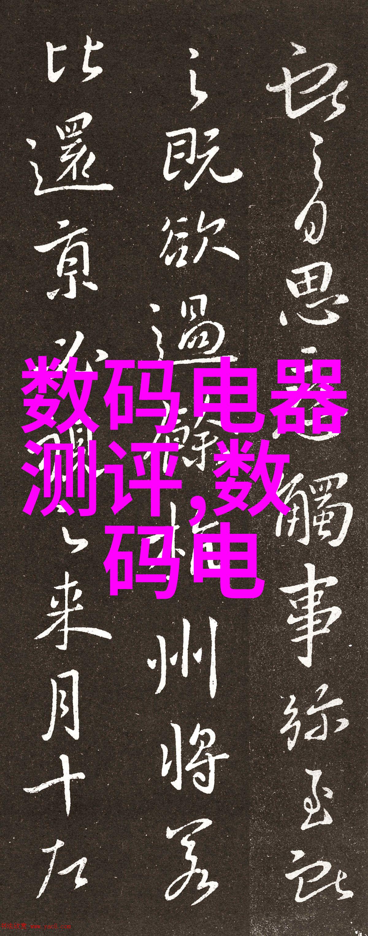 化工学科毕业生在实践领域的多元发展路径与职业成就分析