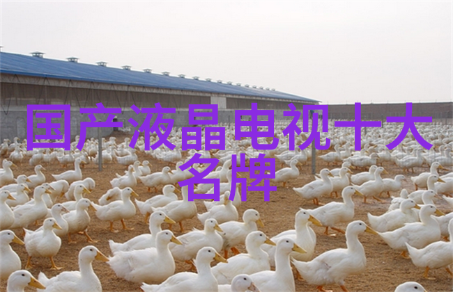 对比传感器与分析机它们各自代表着不同的领域吗
