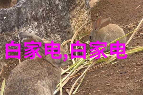 超声波助触媒反应技术在工业高压釜中的应用与展望
