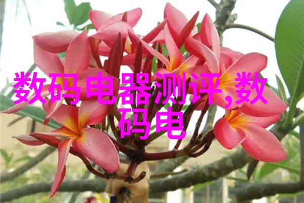 如何评价虎扑社区作为一个知识分享平台的作用