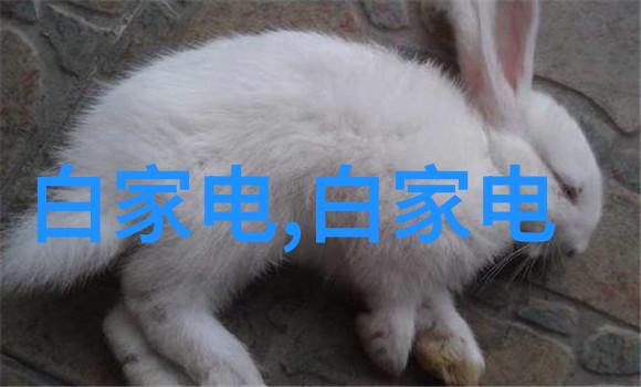 水质检测的科学方法与步骤