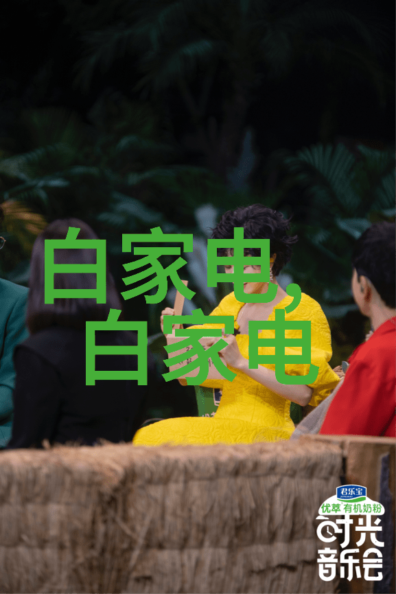 从庶女到后妃皇家贵族的荣耀与挑战