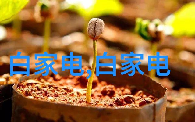 钢铁之心与纸张之梦PE管管材批发价格的双重真相