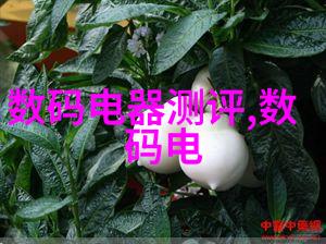 化工消毒灭菌我是如何用简单的方法让家里的卫生变得更安全的