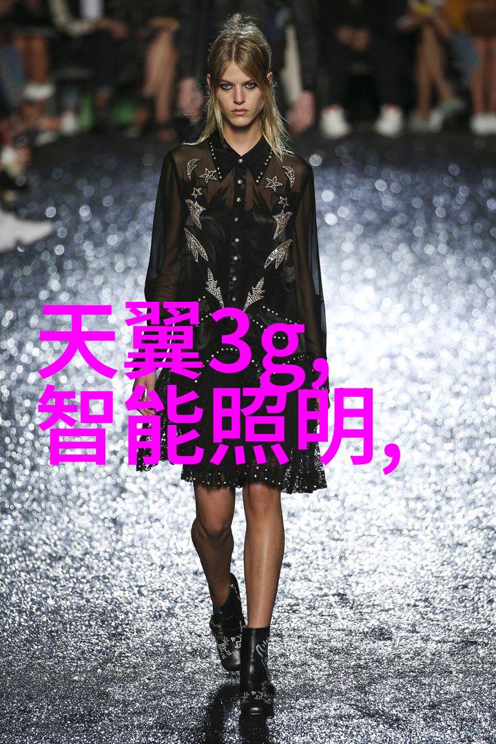 镜头下的艺术之美优秀摄影作品的欣赏与评价研究