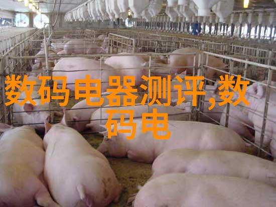 美丽娇妻的玩伴优雅女性与朋友间的互动
