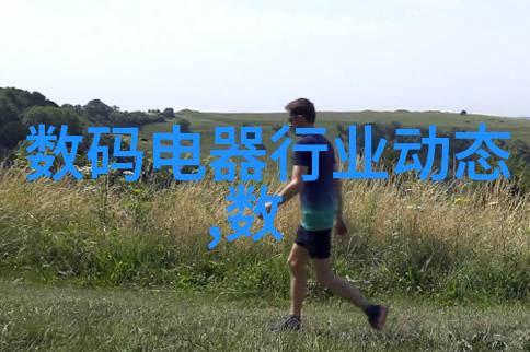 家居装饰风格的选择与搭配技巧