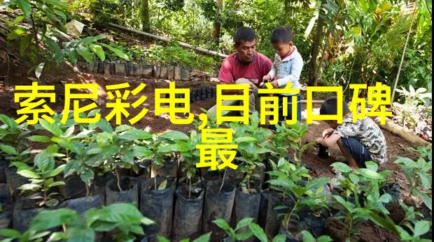 烈日炎炎下的文学之旅骄阳伴我小说的故事篇章