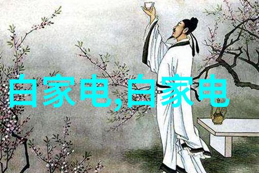探究卫生间改造为衣帽间的可行性水利水电工程师视角下的物品管理技巧