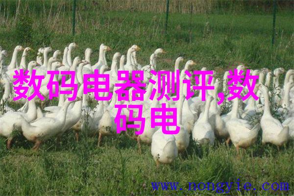 大型自来水厂设备生产厂家引领清洁水源的先锋