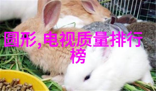从源头治理污染精准布局分散式和集中式处理方案之探究