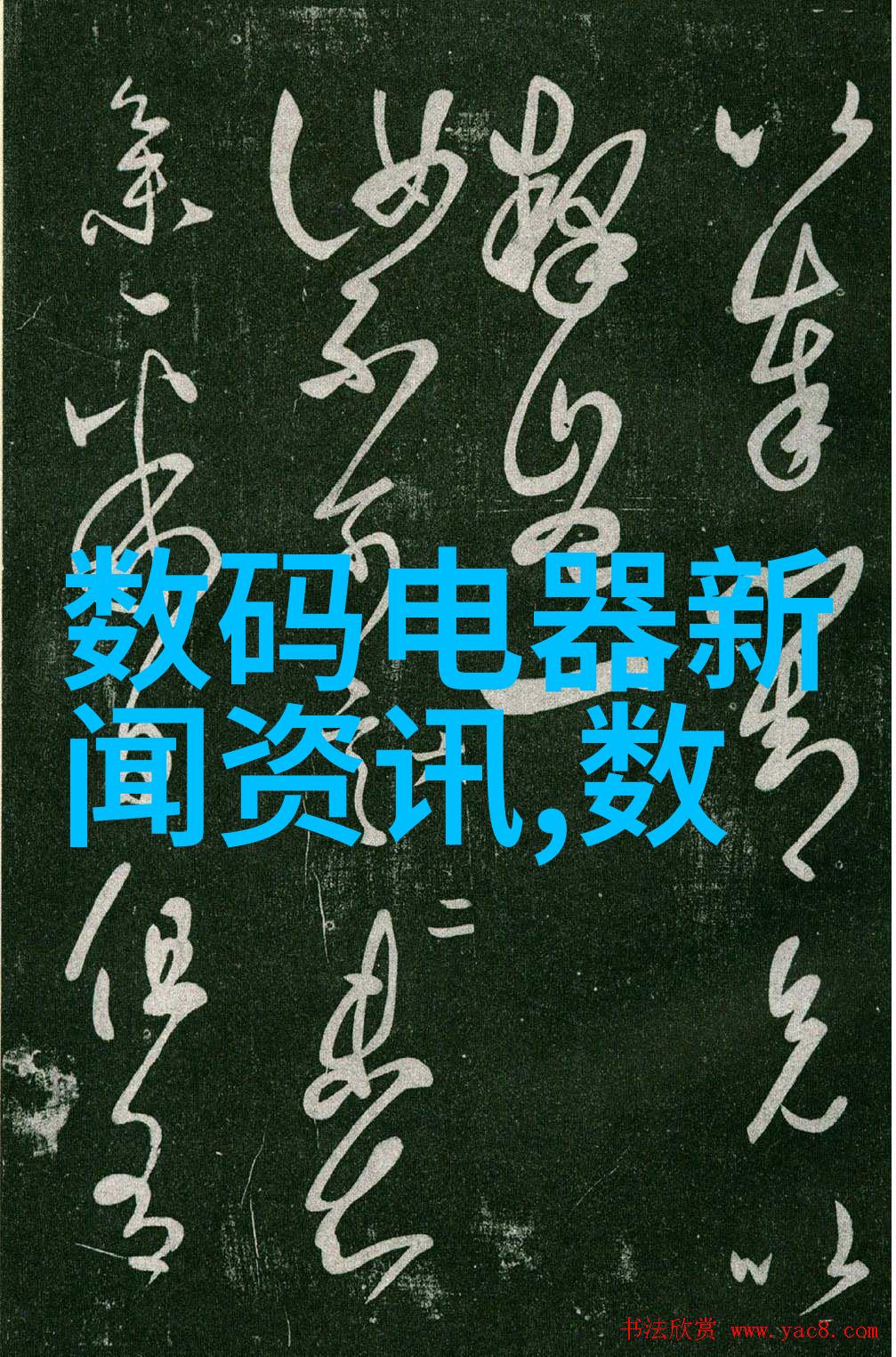 天择小说-在末日余晖中选择生存天择小说的世界构建与角色塑造