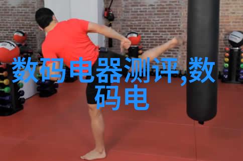 魔法世界中的流浪者流落在哈利波特的奇幻冒险中