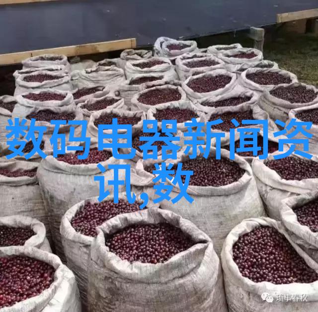 化学实验室设备-精密分析揭秘化学实验室必备的高级仪器