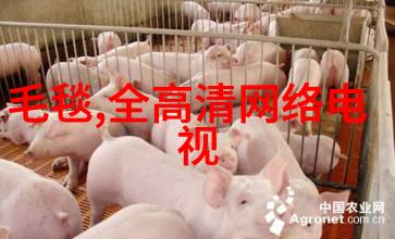工业废气处理-清新蓝图工业废气处理的净化塔奇迹