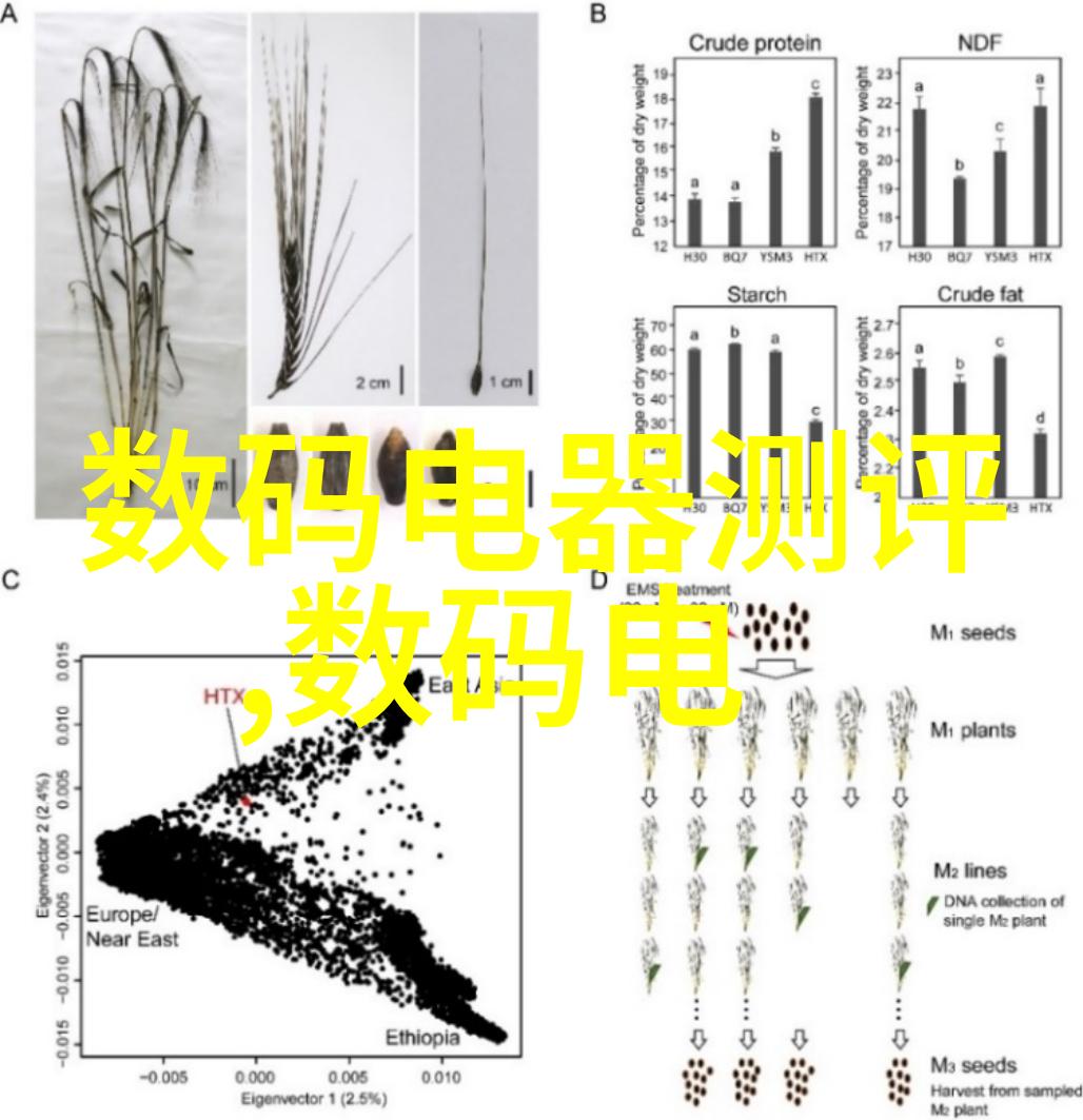 家电挑选指南如何选择适合您家庭的洗碗机