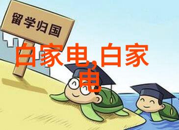 农村人乱弄-乱扰一二区农村生活中的管理难题