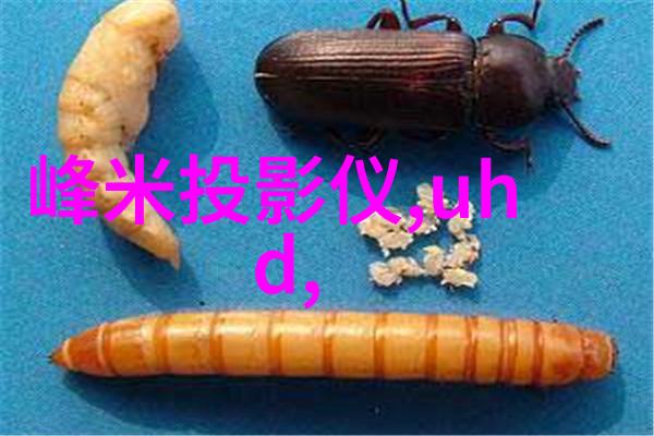 新冠大战专家揭秘三种神药奇迹般治愈者与苦难共存的逆袭故事
