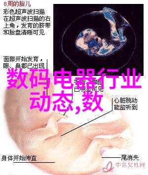 如何选择合适的气力输送设备以满足不同工况需求