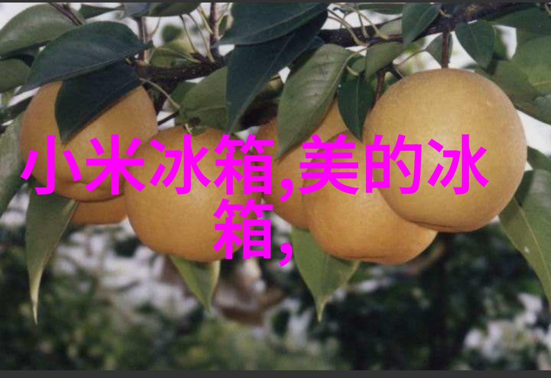 膜分离艺术从细菌到水净化的奇迹之旅
