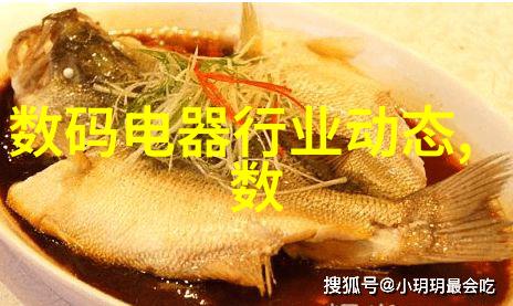 海洋污染的克星高效盐分回收系统