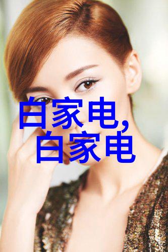 尘土之巢布袋除尘器的隐秘世界