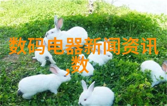 现代化的冷库制冷技术对环境影响如何