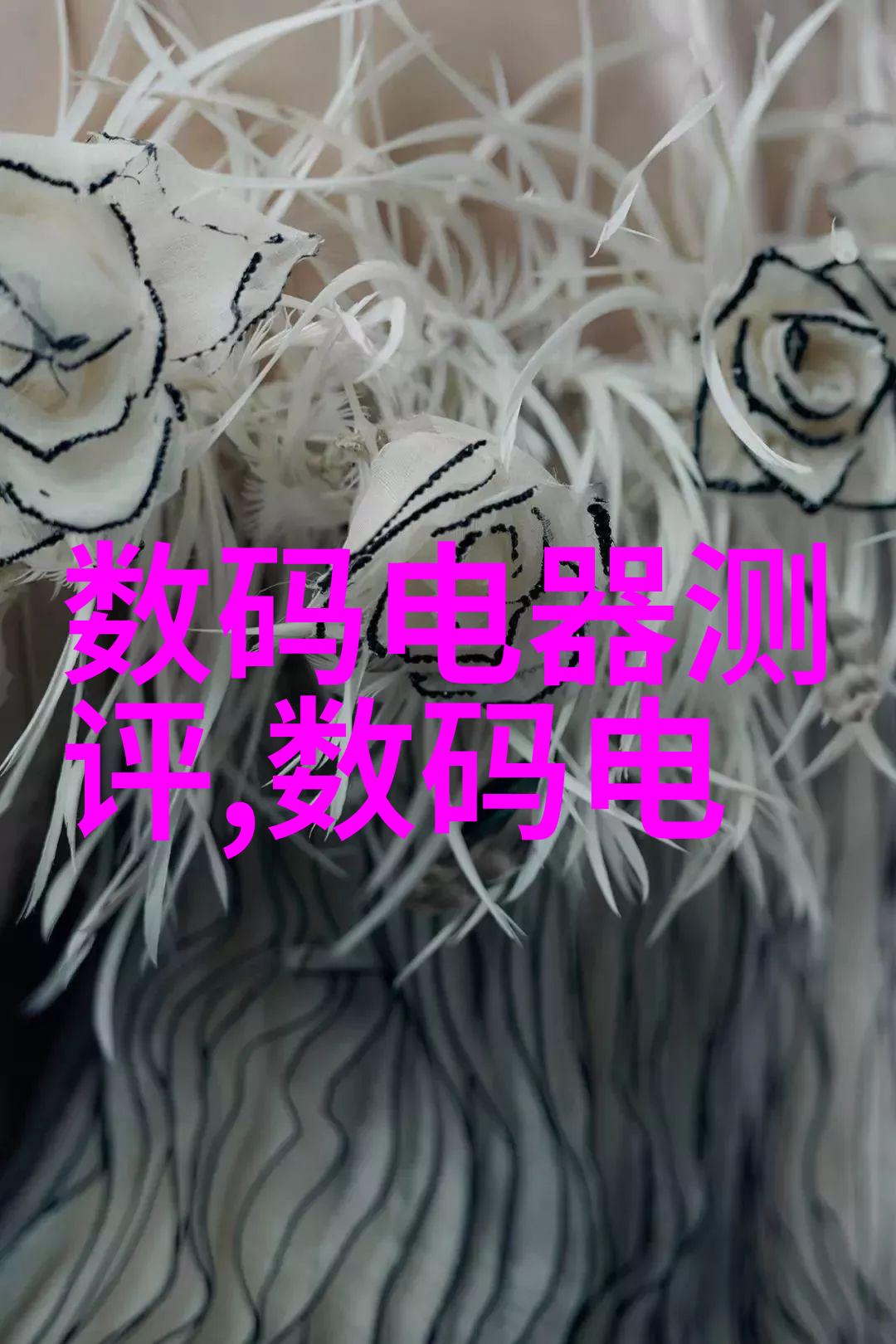 旋转的分隔界限管式离心分离机的奇妙世界