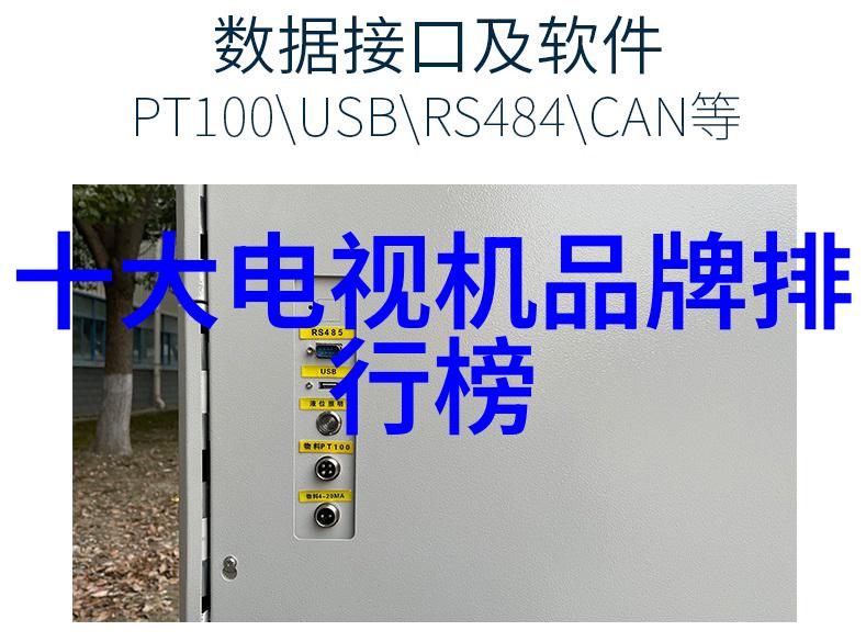 镜头背后的诗摄影的艺术抒情