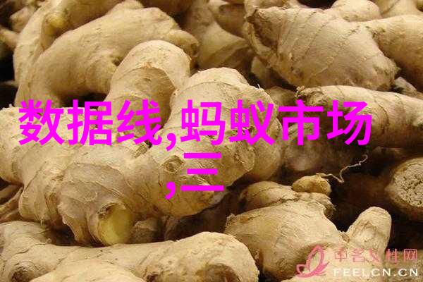 检测水质是否可饮用确保每一口清澈的水