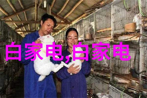 主题-善交大结合融合人际关系与团队协作的艺术