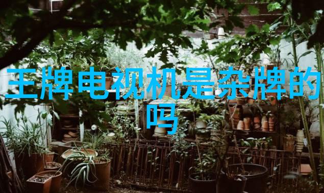 江东寒夜下的明月照耀