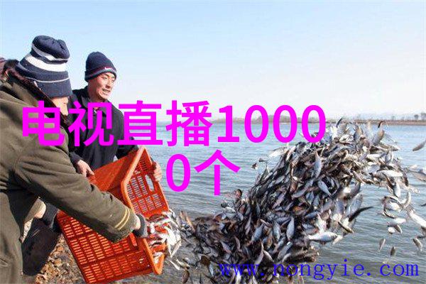 冰之巨人制冷设备有限公司的传奇征程