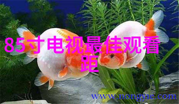 智慧之匙智能化专家的奇迹