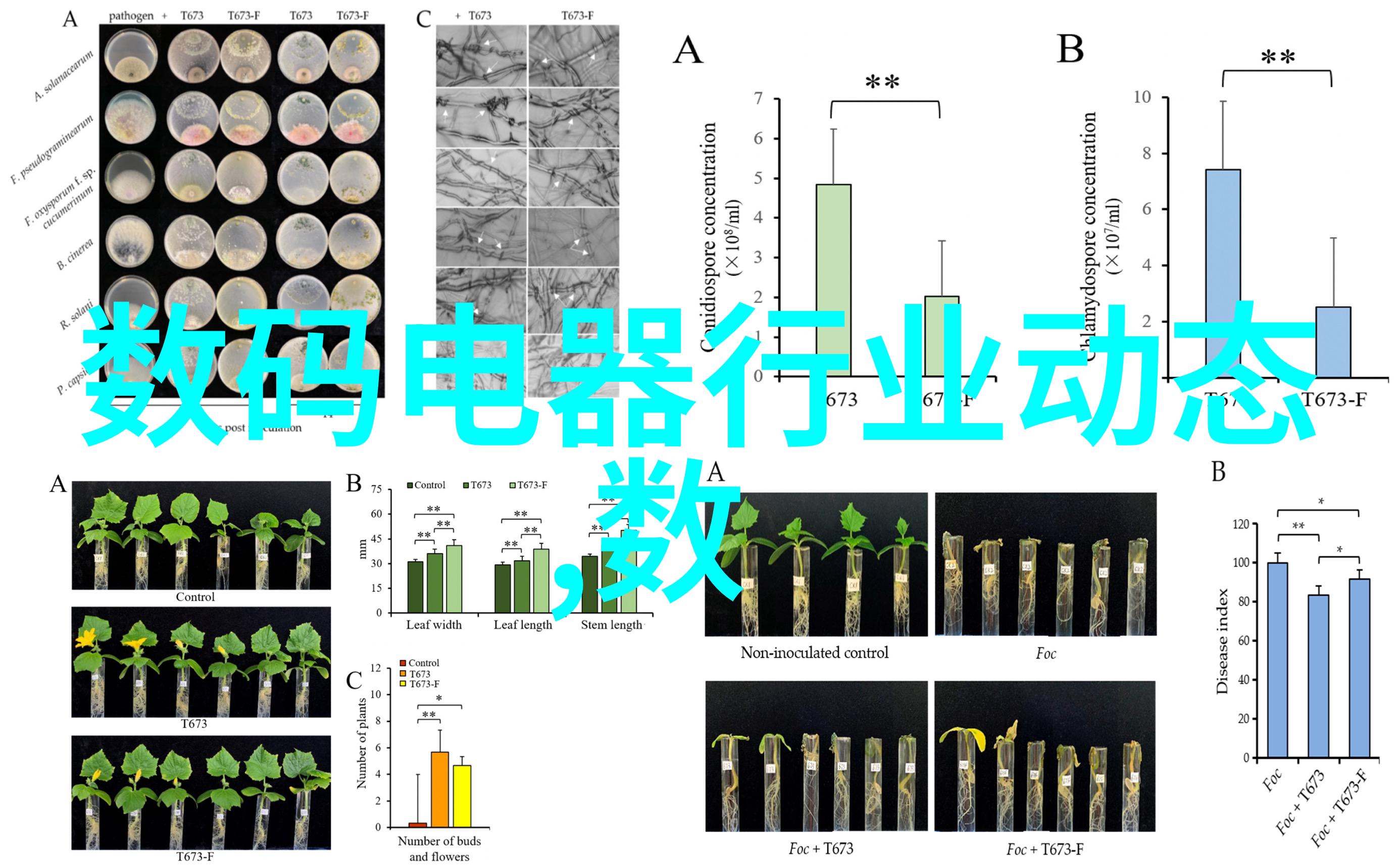 温暖的怀抱-你里面太温暖了我不出来