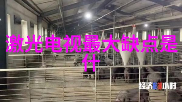 庭院装修设计园艺艺术与户外空间优化