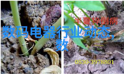 吃赵露思的B好吗-品味赵露思的美妙生活